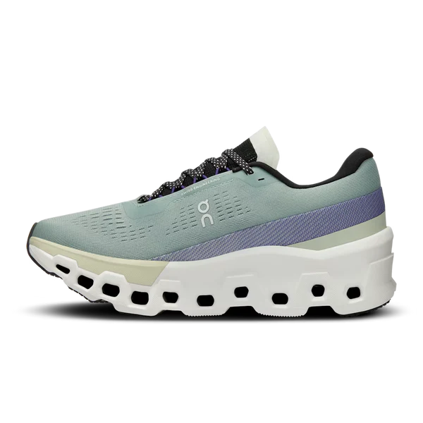 Auf Cloudmonster 2v2