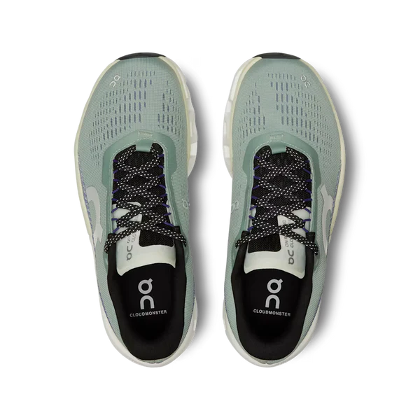 Auf Cloudmonster 2v2