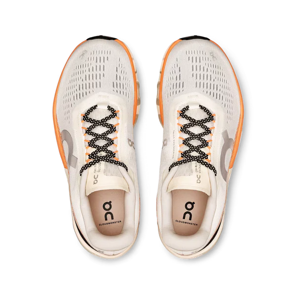 Auf Cloudmonster 2v2